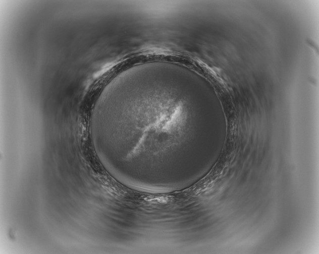 X0000096731303200802261443