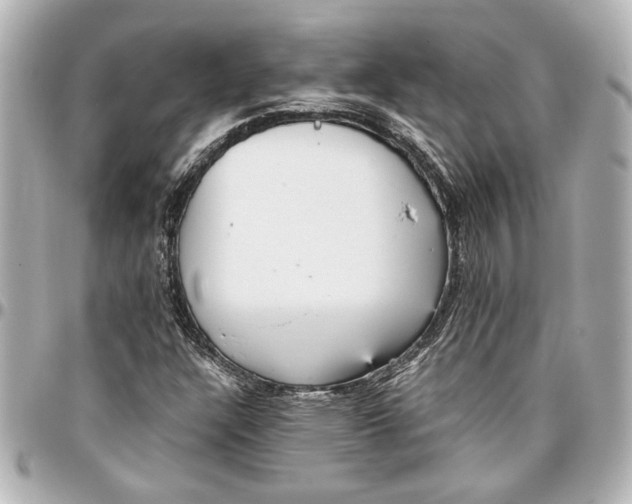 X0000096731304200802261443