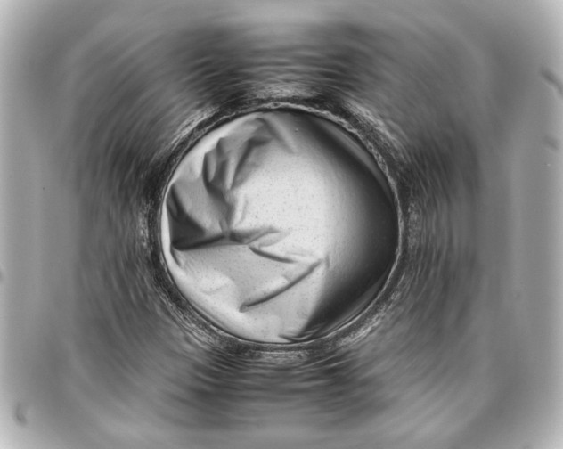 X0000096731305200802261443