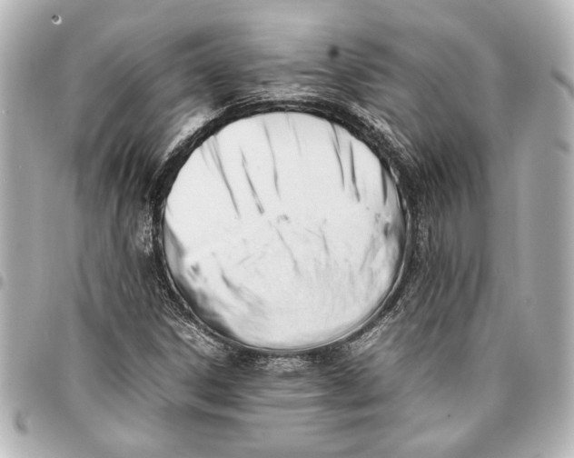 X0000096731306200802261443