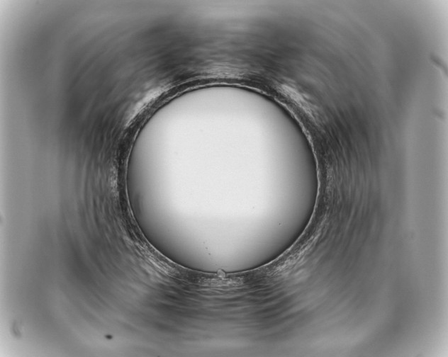 X0000096731307200802261443