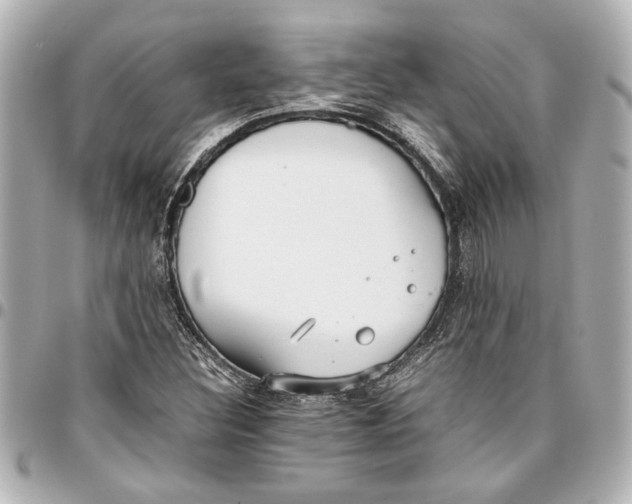 X0000096731308200802261443