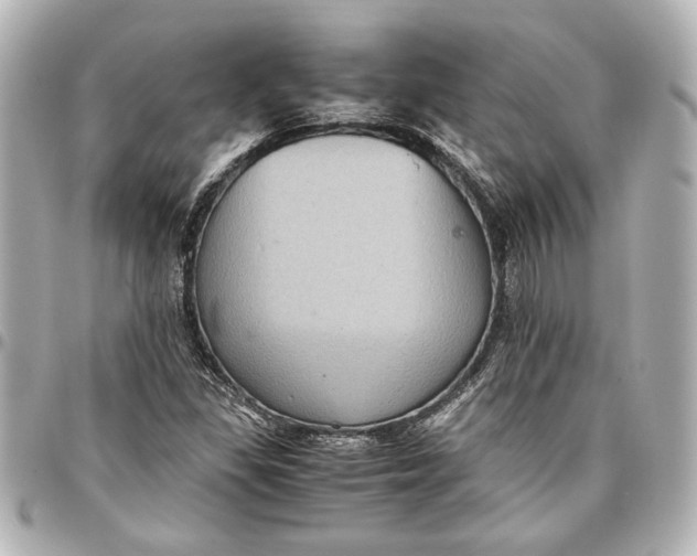 X0000096731309200802261443