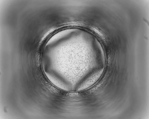 X0000096731310200802261443