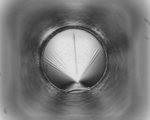 X0000096731311200802261443