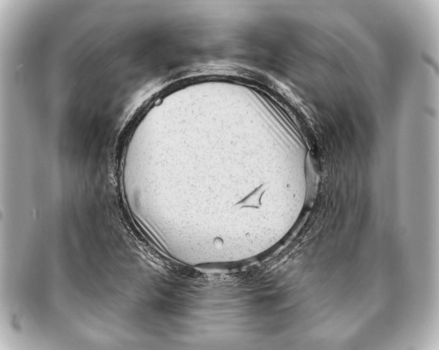 X0000096731312200802261443