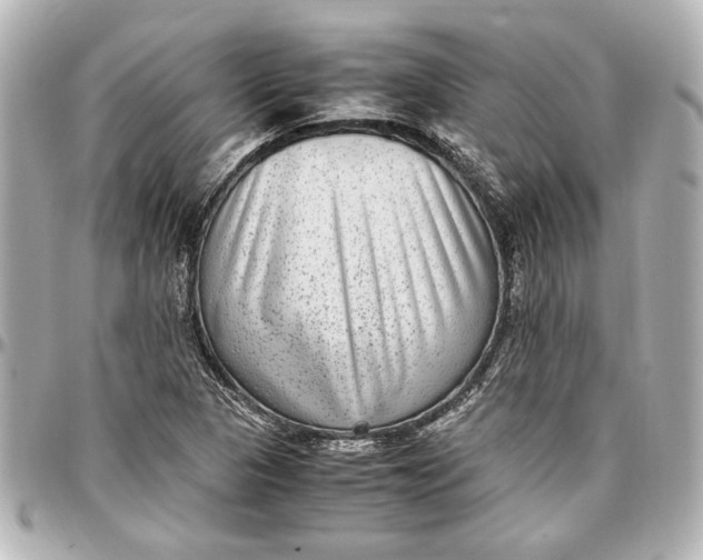 X0000096731313200802261443