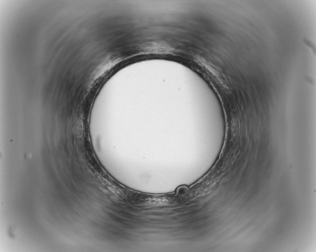 X0000096731315200802261443