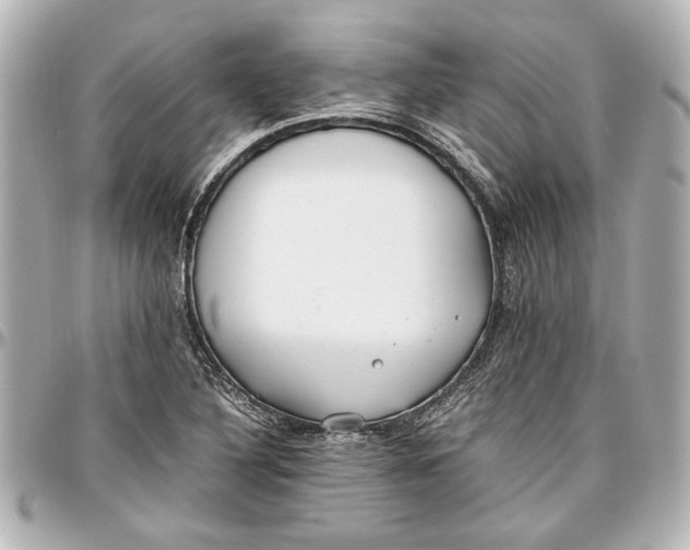 X0000096731316200802261443