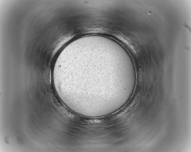 X0000096731317200802261443