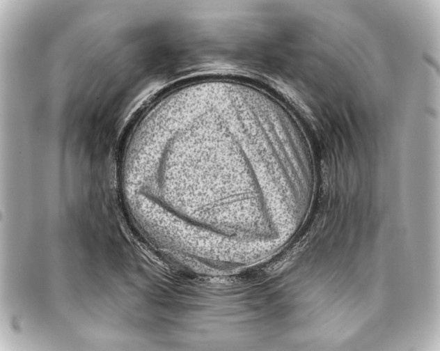 X0000096731318200802261443