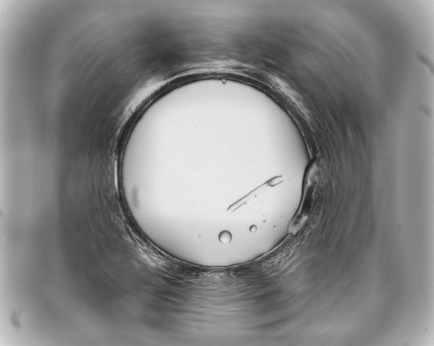 X0000096731320200802261443