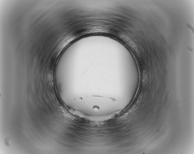 X0000096731321200802261443