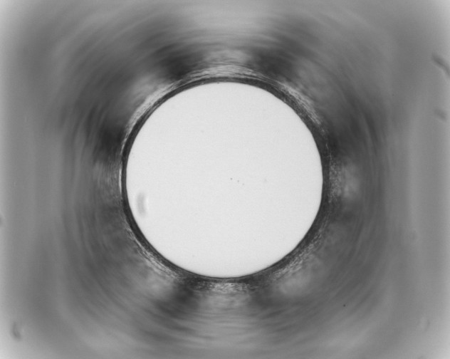 X0000096731322200802261443