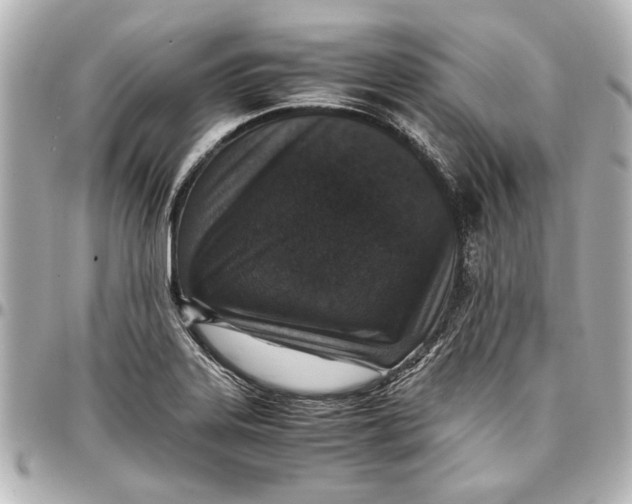 X0000096731323200802261443