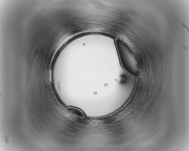 X0000096731324200802261443