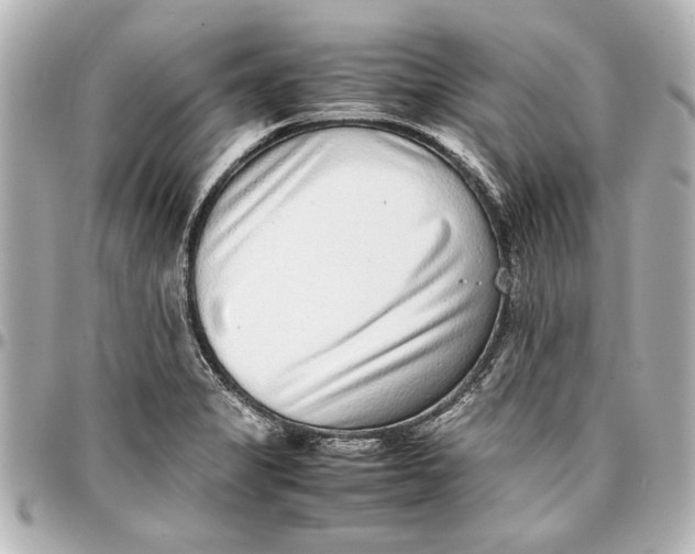 X0000096731325200802261443