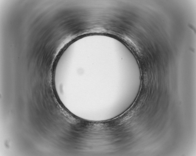 X0000096731326200802261443