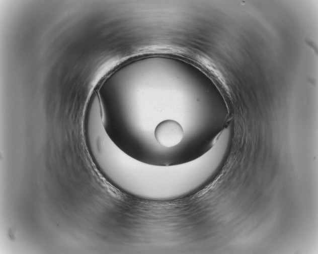 X0000096731328200802261443