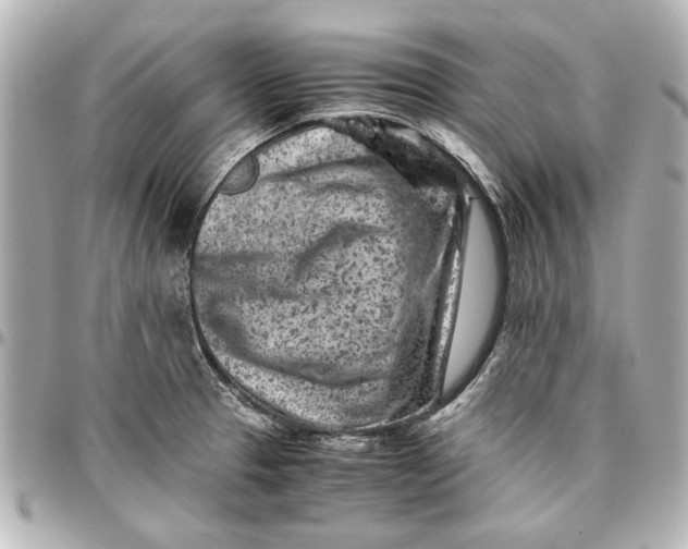 X0000096731329200802261443