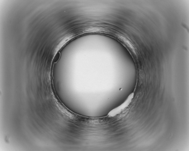 X0000096731330200802261443