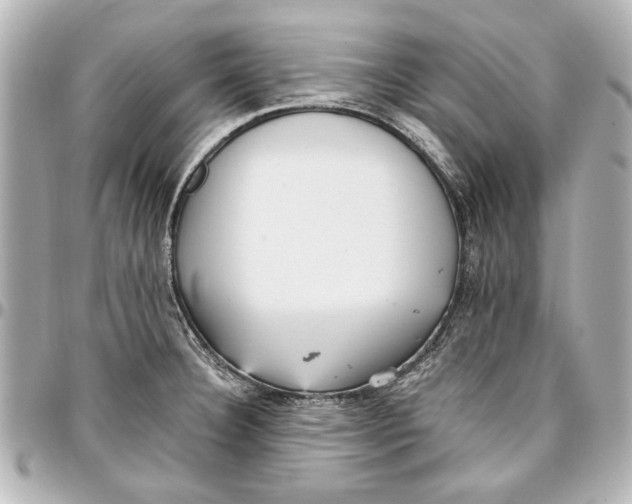 X0000096731332200802261443