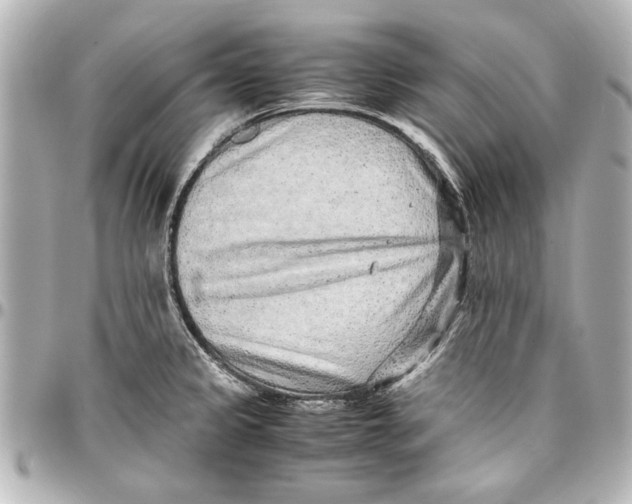 X0000096731333200802261443