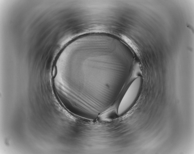 X0000096731334200802261443