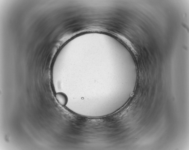 X0000096731335200802261443