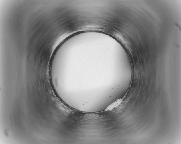 X0000096731336200802261443