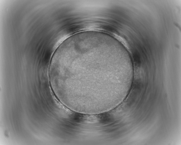 X0000096731338200802261443