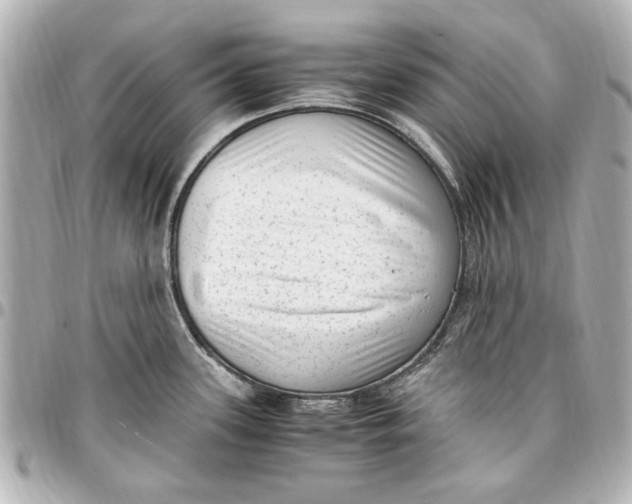 X0000096731339200802261443