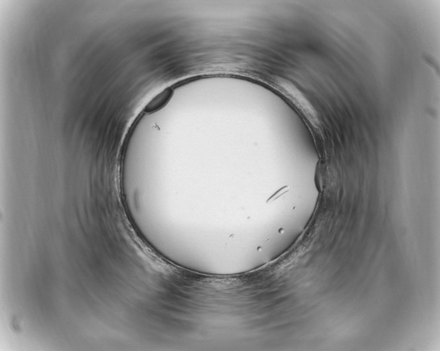 X0000096731340200802261444