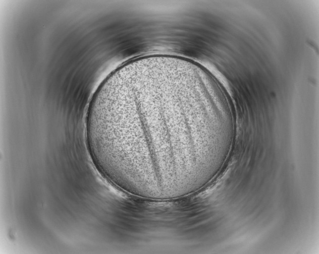 X0000096731341200802261444