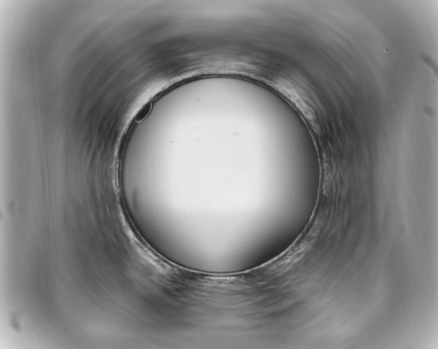 X0000096731342200802261444