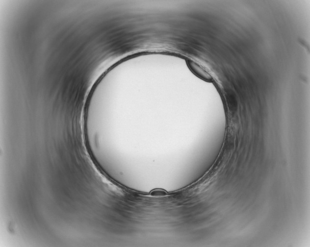 X0000096731343200802261444