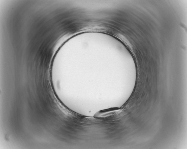 X0000096731344200802261444