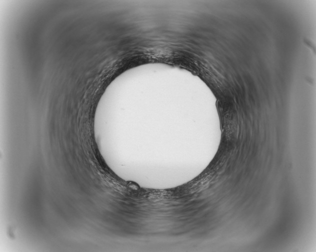 X0000096731345200802261443