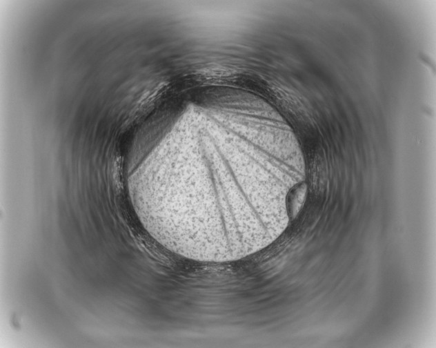 X0000096731346200802261443