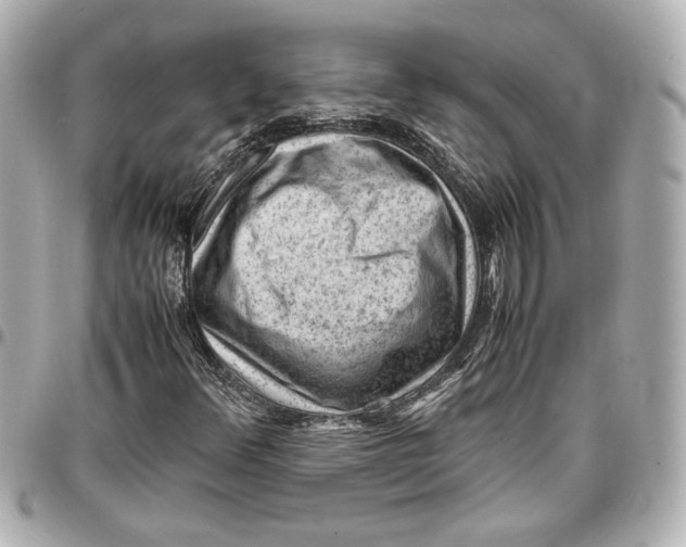 X0000096731348200802261443