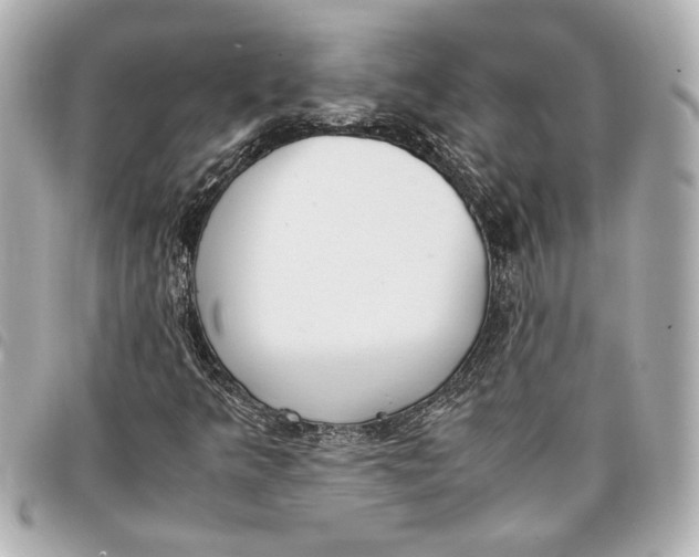 X0000096731349200802261443