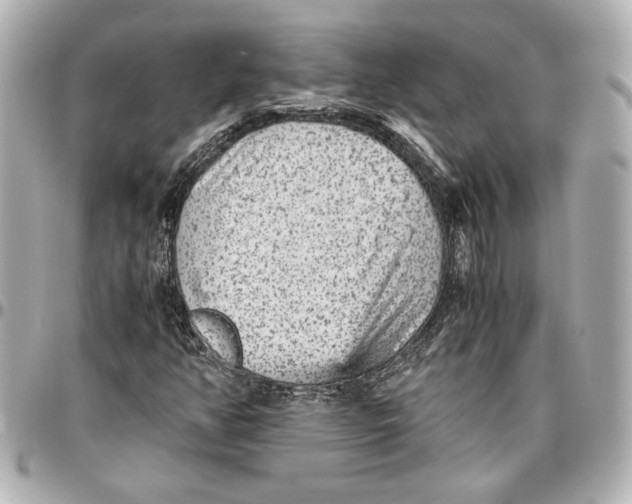 X0000096731350200802261443