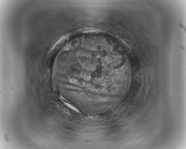 X0000096731351200802261443