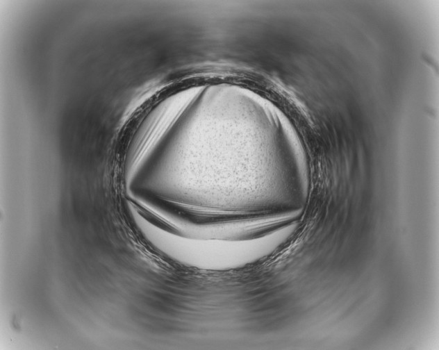 X0000096731352200802261443