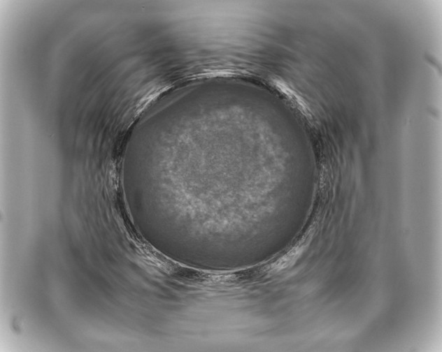 X0000096731353200802261442