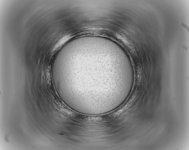 X0000096731354200802261442