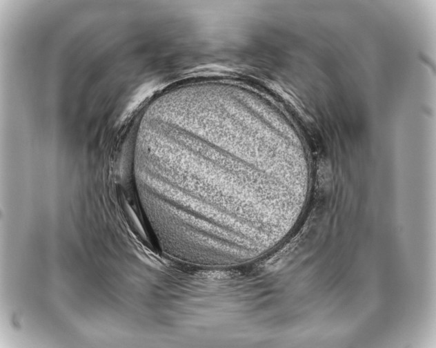 X0000096731355200802261442