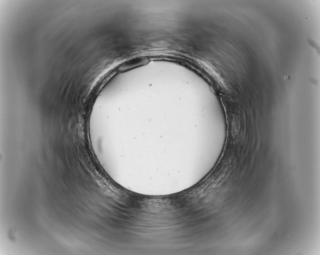 X0000096731356200802261442