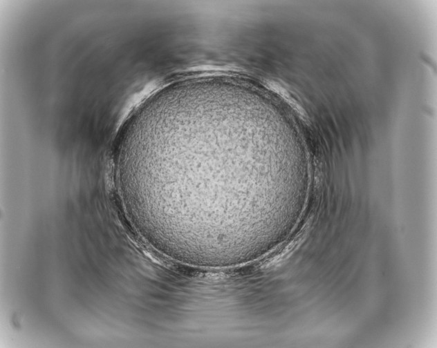 X0000096731357200802261442