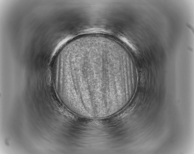 X0000096731358200802261442